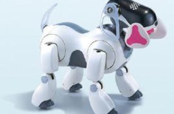 aibo私密,探索智能机器人的私密世界